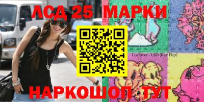 гидропоника Малгобек