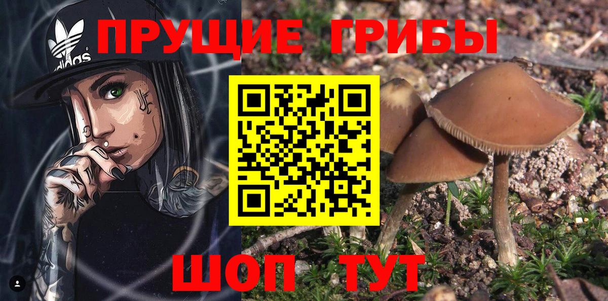 Галлюциногенные грибы мухоморы  Вход с VPN  Городец 