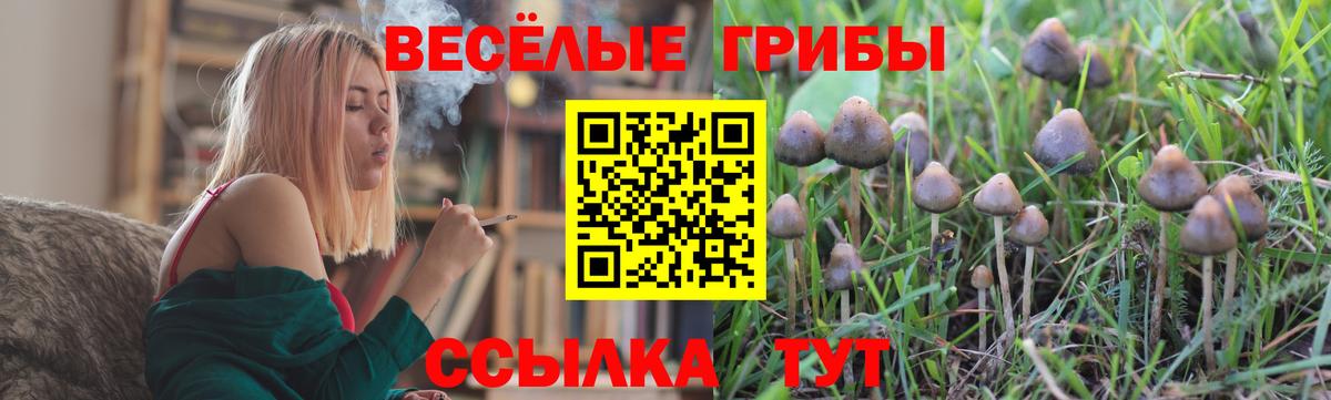 Галлюциногенные грибы прущие грибы Городец